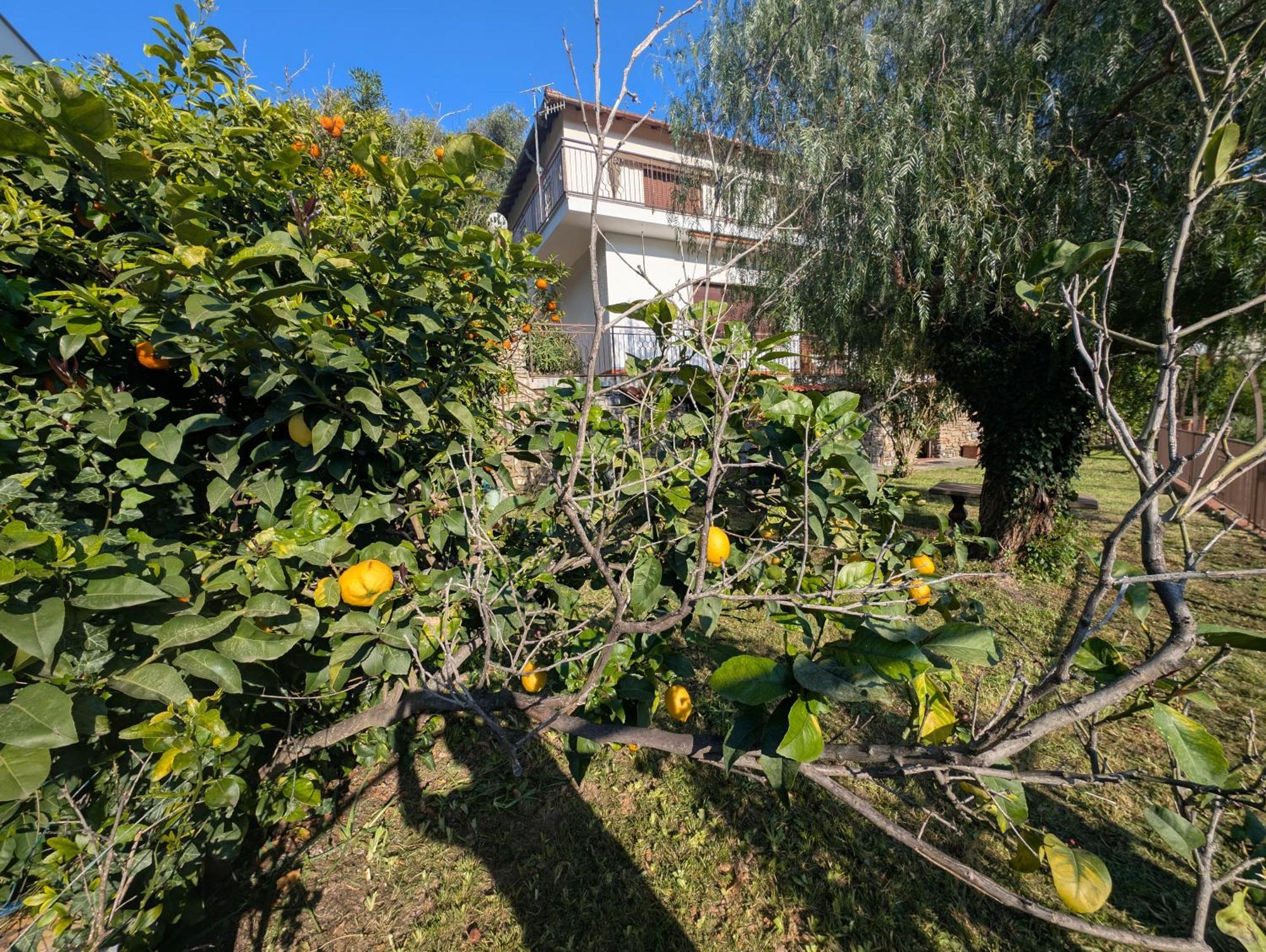 אלסיו La Casa Di Nonna Lorenna מראה חיצוני תמונה